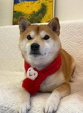 宠物围巾新年毛线小狗配饰圣诞可爱猫咪围兜狗狗保暖红色围脖喜庆