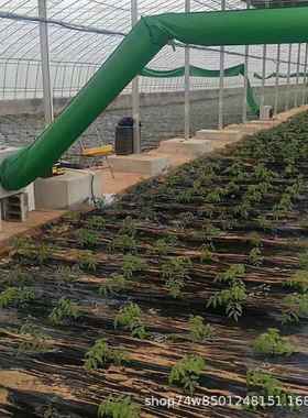 优惠热11850销冬季加温设备香菇种植控大棚增全温暖风炉自动温加