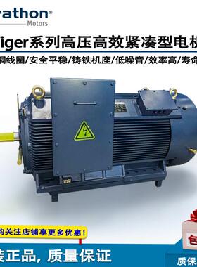 marathon马拉松系列高压电动机紧凑型电机HCM3151-2