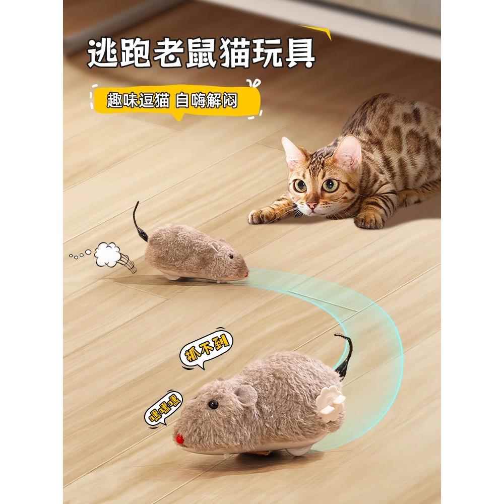 采购产品猫玩具,电动小老鼠,自我刺激和消除无聊,有趣的猫棒,