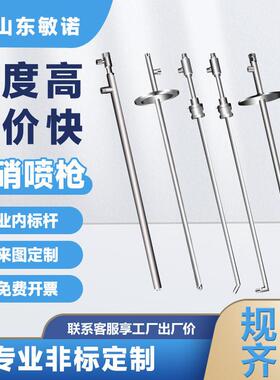 310S脱硝喷枪耐SNCR不锈钢脱硫氨水尿素喷枪316L耐温耐腐蚀锅炉