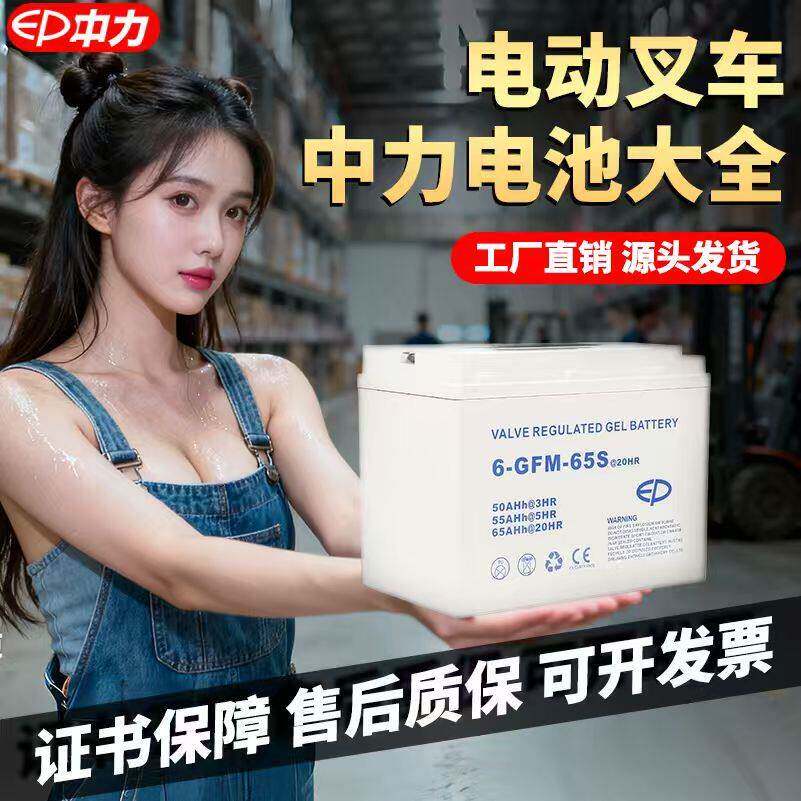 中力合力小金刚电动叉车配件叉车电池锂电池电瓶蓄电池12V30A65A