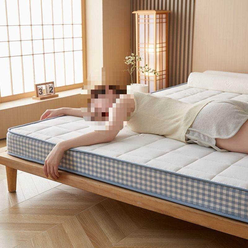 九天家私家用卧室榻榻米床褥子宿舍租房学生乳胶床垫记忆海绵床垫
