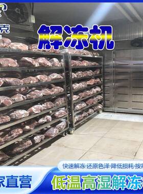 羊酮体冻盘缓化机设备 牛羊肉低温高湿解冻库海产品肉类解冻设备