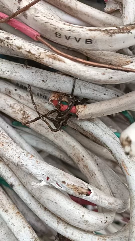 12月30日苏州废旧杂线约352公斤左右打包处理网络拍卖公告