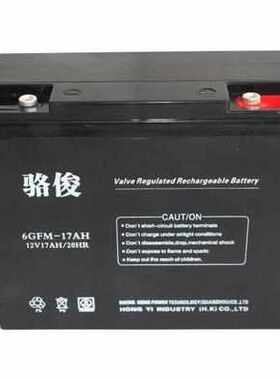 骆俊蓄电池6GFM12V17A24A38A65A100A应急消防直流屏UPS/EPS现货