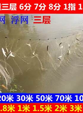 鱼网粘网三层沉网一指口丝小套50米小眼沾网白条专用小渔网8分眼