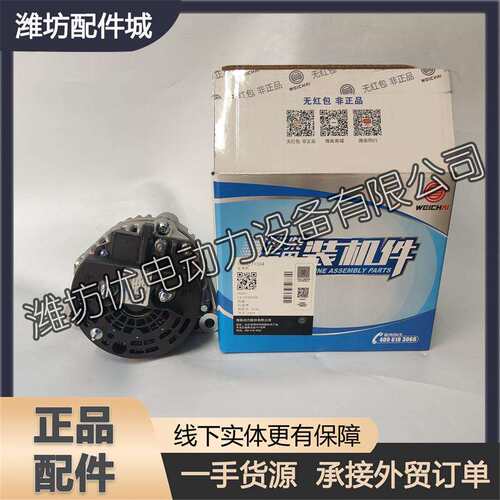 潍柴6M33船用发动机博杜安柴油机1004271334充电发电机WP-FDJ配件