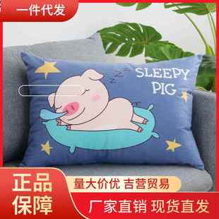 V45O沙发长方形大靠背抱枕靠垫客厅床头靠枕套大号腰枕可拆洗50X7