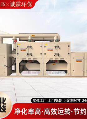 工厂涂装车间有机废气处理沸石转轮RTO蓄热式vocs催化燃烧设备