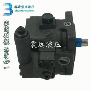 50S ANSON叶片泵VP5F