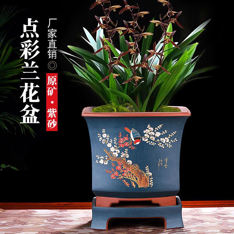宜兴紫砂花盆高档陶瓷君子兰专用带托盘盆景盆栽紫砂盆客厅
