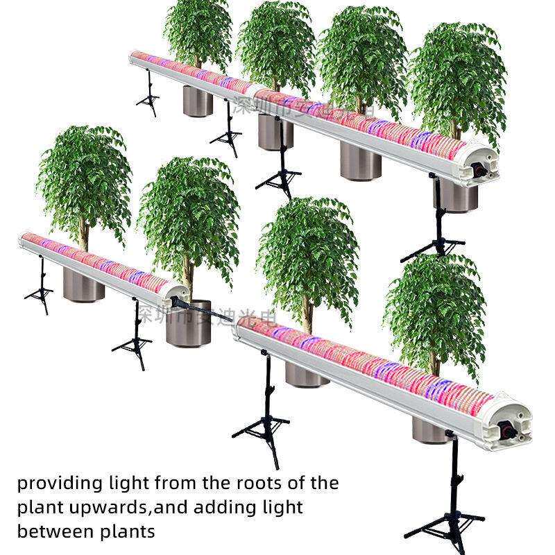 00W株间植物补光灯管全光谱150W红1光开花果防徒ODO1结20W植物生