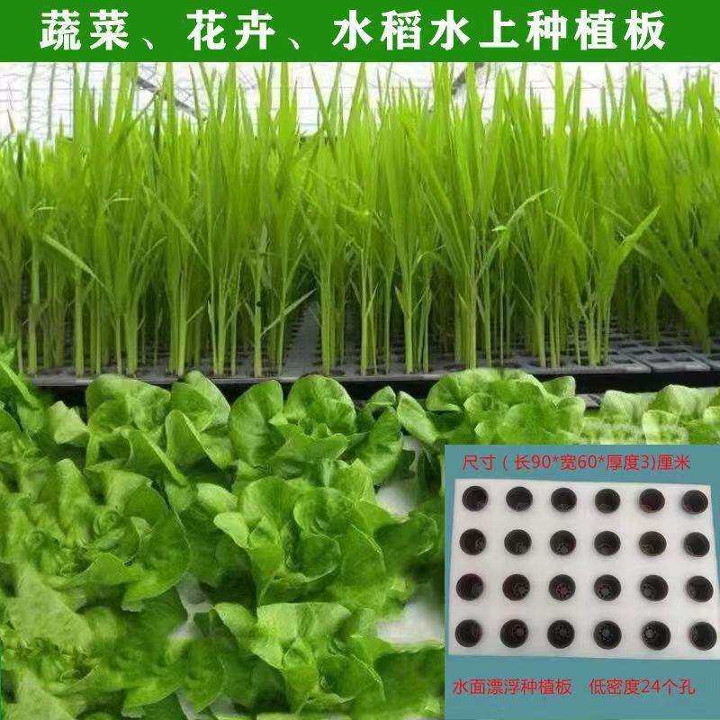 水培漂浮鱼塘种植无土栽培水稻定植蔬菜水上鱼稻共生水池设备浮床