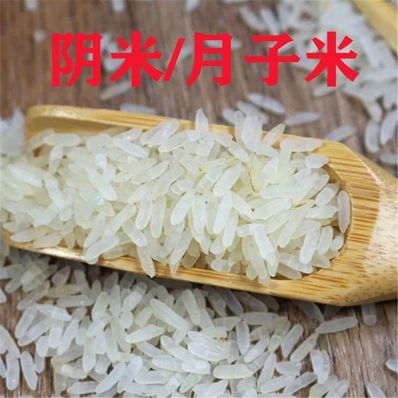 糯米阴米农家江米湖北天门特产熟冻米月子米煮粥优质熟糯米