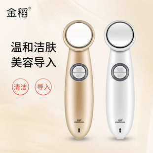 家用脸部面膜导入仪导出仪面部毛孔清洁器美容仪面部洗脸仪按摩仪