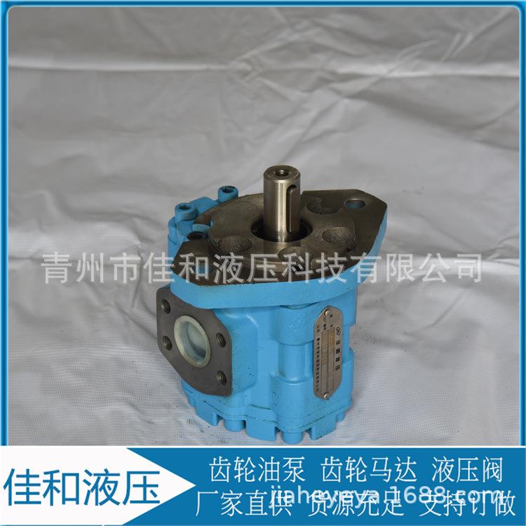 自卸车液压泵CBY2010-2FR工程机械配套CBY2016-2FR长江齿轮泵