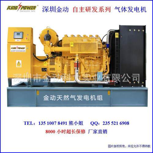 外贸出口100KW200KW500kw热电联产型沼气天然气发电机