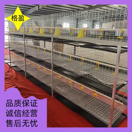 育雏鸡笼四层立体式小鸡笼高密度镀锌防锈防跑鸡养殖设备鸡舍