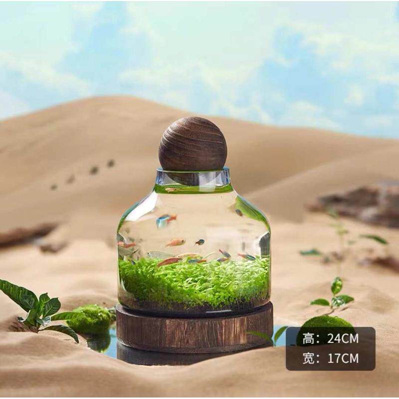 玻璃生态办公室日式鱼缸缸水草diy微瓶创意桌面鱼虾景观木托造景