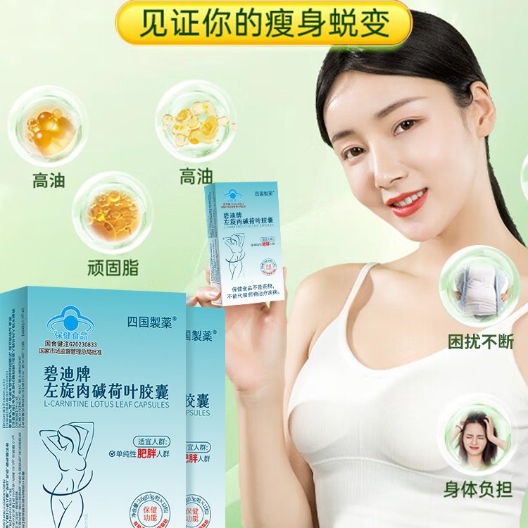 碧迪牌左旋肉碱茶酚颗粒燃小畅减肥瘦身燃脂排多油直播同款鲜莳珍