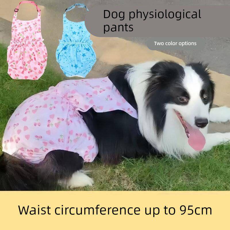 大姨妈大型犬狗狗生理母狗月经边