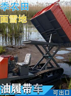 履带式小型履带车爬山虎自装卸双履带运输车全地形爬山运输车