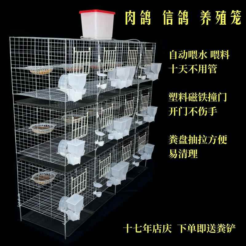 鹌鹑水杯鸽子水碗鹦鹉鸟类自动饮水器信鸽食盒挂盒饮水碗减压水箱