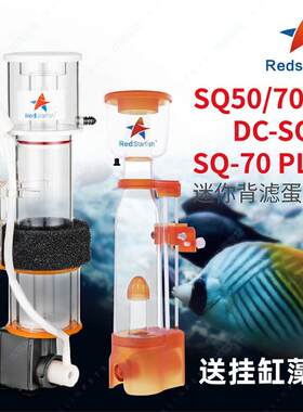 红海星海缸蛋分珊瑚缸蛋过滤器背滤小缸海水鱼缸内置蛋白质分离器