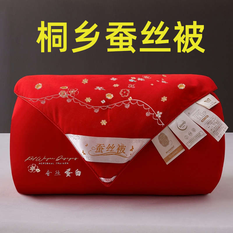 蚕丝被子母被二合一儿童加厚棉被冬被蚕丝被春秋夏季空调蚕丝被芯