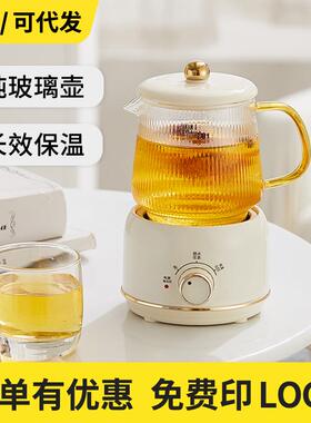 养生壶办公室小型迷你多功能花茶电炖杯煮茶壶礼盒节日送礼养生杯