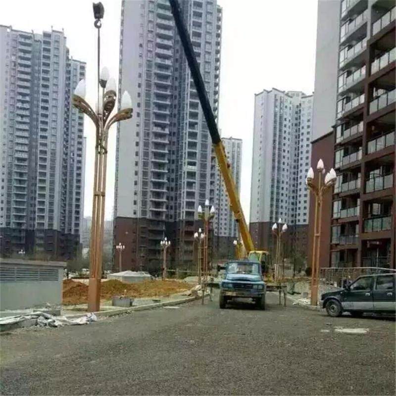 江苏高邮路灯厂家推出新款玉兰灯 中华灯灯罩 12米道路景观玉兰灯