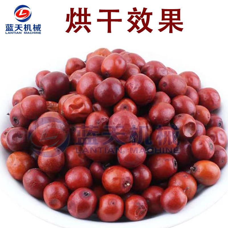 小型酸枣烘干机 商用山枣小酸枣烘干箱 电加热酸枣仁智能烘干设备