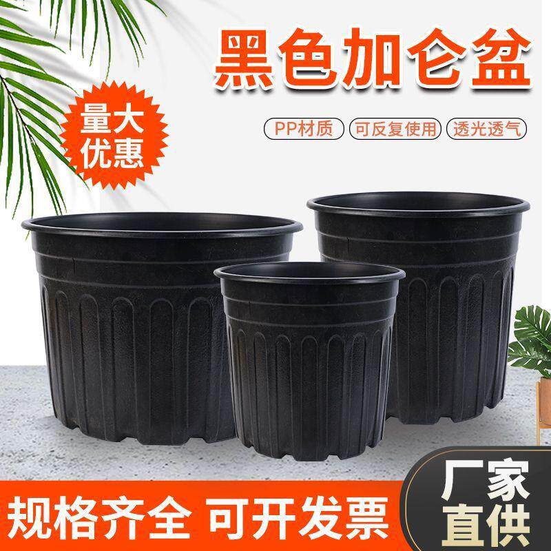 侧棱加仑盆二代加厚塑料黑色花盆阳台月季玫瑰绿萝吊兰盆育苗耐用