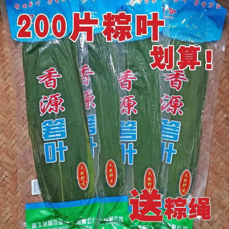 粽子叶粽新鲜真空装鲜粽野生小箬棕叶50片4袋厂家独立站
