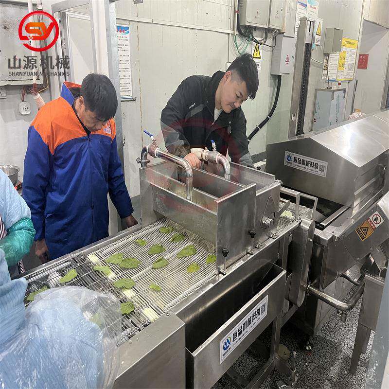 蛋黄南瓜片油炸设备预制菜南瓜花油炸机全自动桑叶油炸机