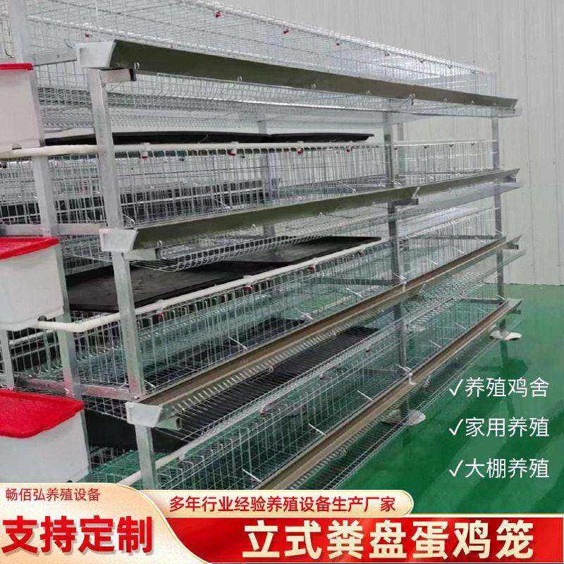 热镀锌材质立式接粪盘蛋鸡笼三四层H型蛋鸡笼畜牧养殖设备养鸡笼