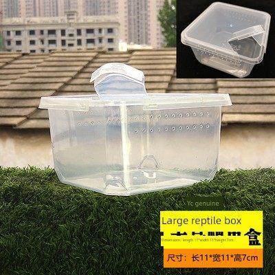 专业防越狱小幼体蜘蛛盒宠物火玫瑰印度华丽雨林太阳虎饲养盒蜘蛛