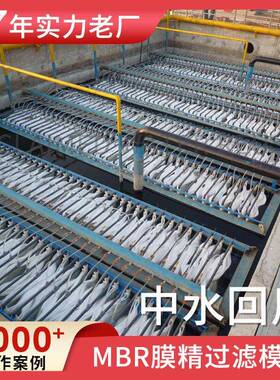 中水回用MBR膜精过滤混泥土搅拌净水设备养殖场净化水设备