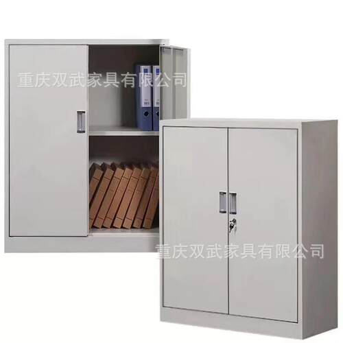 办公室双开门矮柜文件柜铁皮书柜收纳柜财务凭证档案资料带锁储物