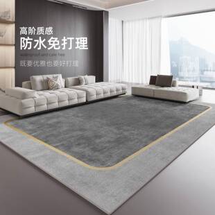 地毯客厅2025新款轻奢感房间卧室免洗可擦家用沙发茶几地垫大