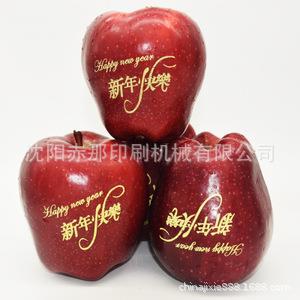 厂家苹果印字机水果蛇果可食用油墨赤那品牌全自动苹果打字机