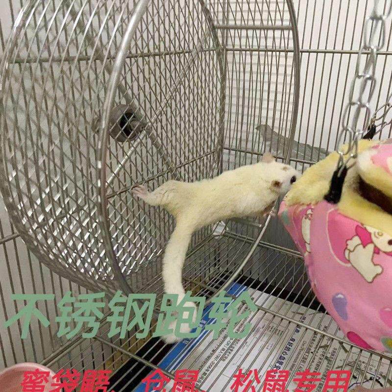 304不锈钢仓鼠跑轮超静音蜜袋鼯松鼠跑轮鹦鹉跑轮金丝熊跑轮悬挂