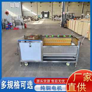 厂家直销全自动GQW毛辊红薯工豆洗去皮机业大清型莲藕姜去皮土清