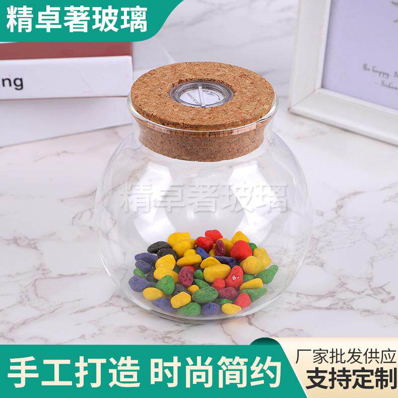 苔藓微景观diy植物盆栽 玻璃生态瓶摆件创意水培水晶透明花瓶圆球