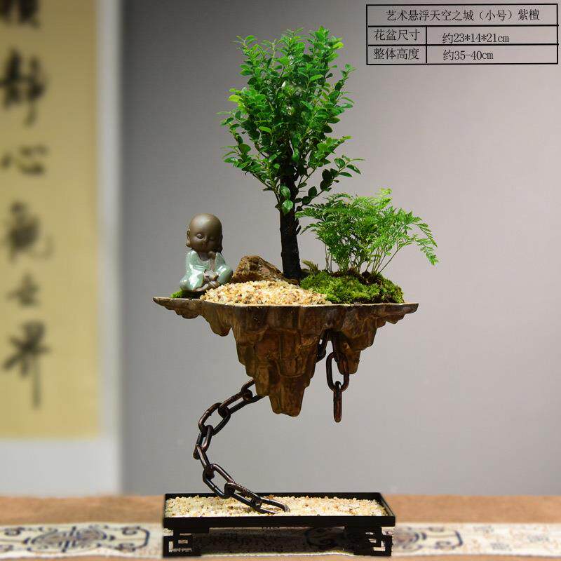 天空之城单杆紫檀黑骨茶盆栽盆景摆件装饰客厅水培绿植花卉室内用