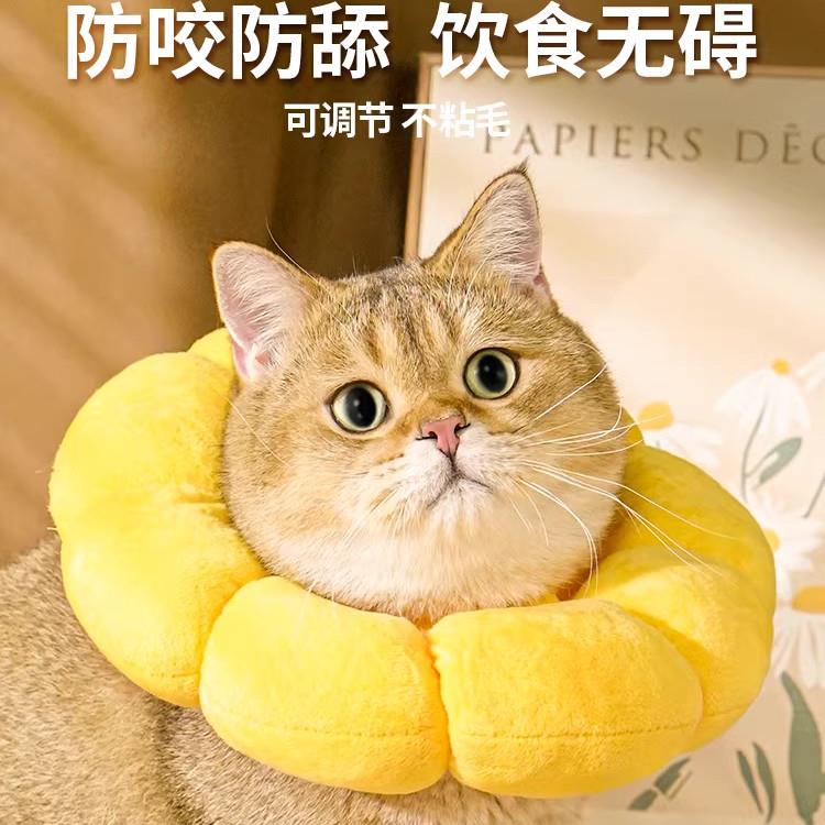 伊丽莎白圈猫绝育项圈防咬防舔猫咪脖圈颈圈头套狗狗围脖