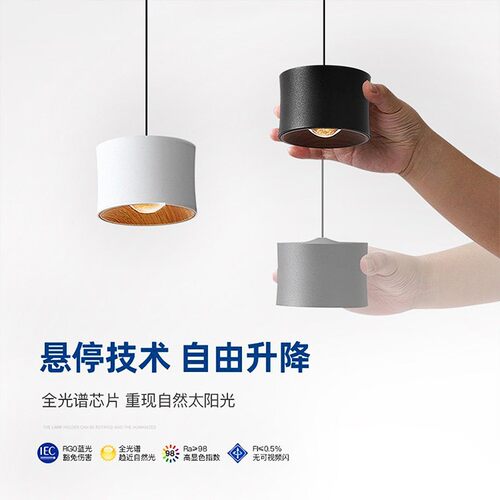 可伸缩新款客厅餐吊灯卧室可升降床头吸顶吊灯简约创意8W小吊灯