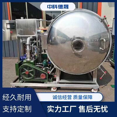 果温蔬设榴莲肉冻干机 果蔬大蒜低真冷冻干燥备 葱花真空SBP冻干