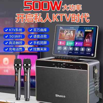 新科家庭ktv音响套装移动